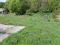 užovka stromová (20.5.2014)